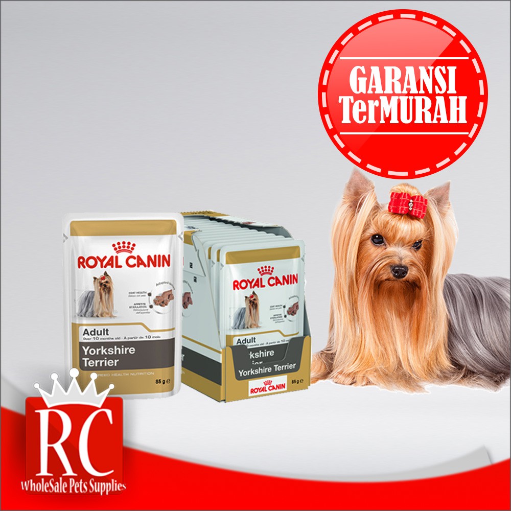 Makanan Basah Khsus Anjing Yorkshire - Royal Canin Yorkshire 85 Gr