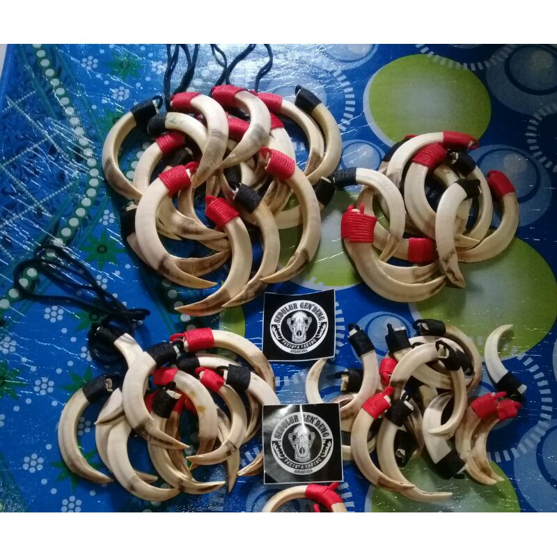 Grosir Kalung Taring Babi Original