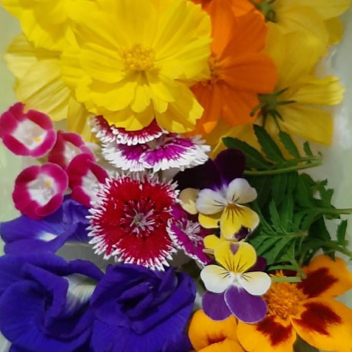 

Edible Flowers Mix 30 Pcs New