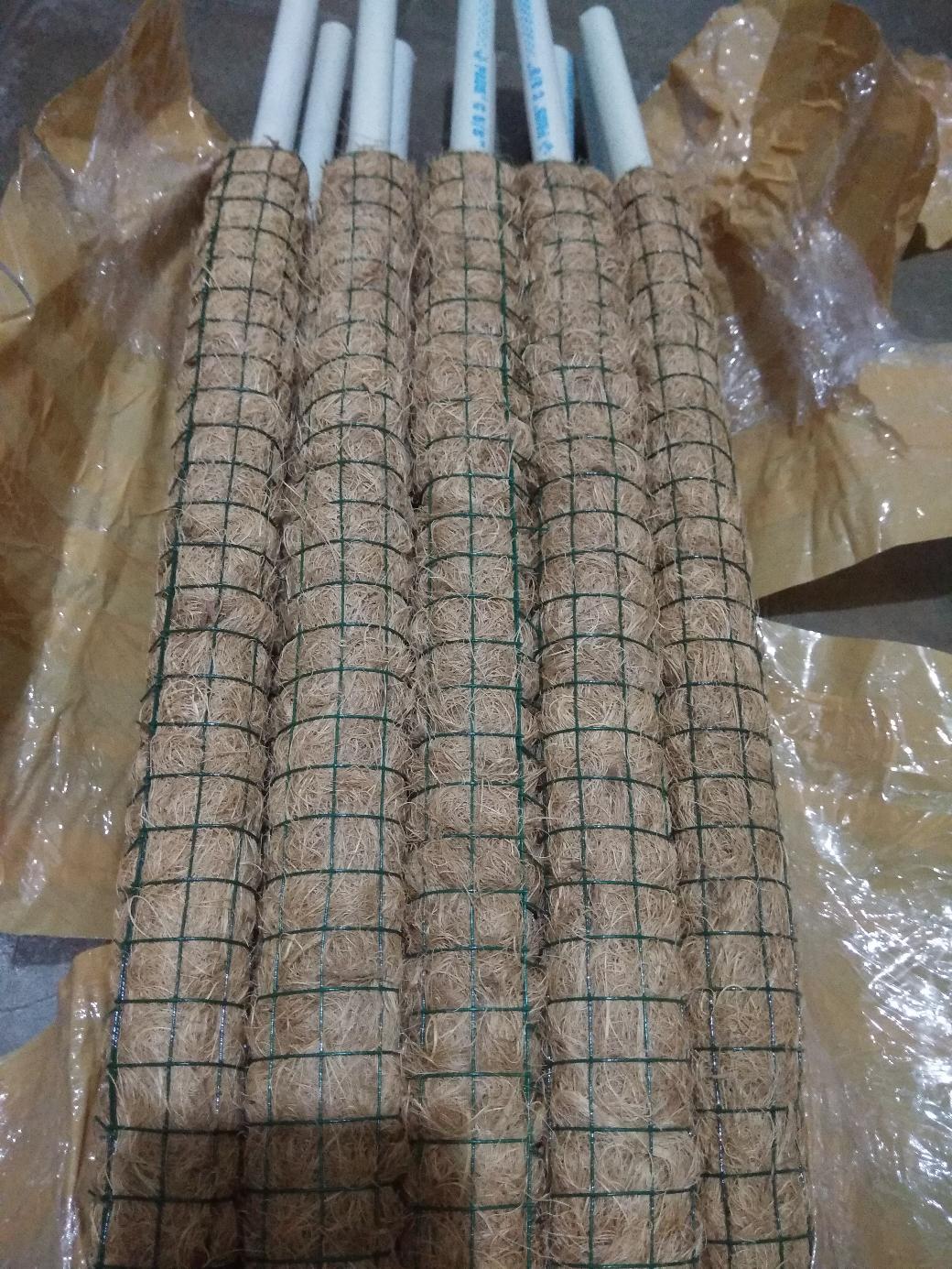 Promo!!!paket Hemat 10 Batang Turus Serabut Panjang 40 Cm