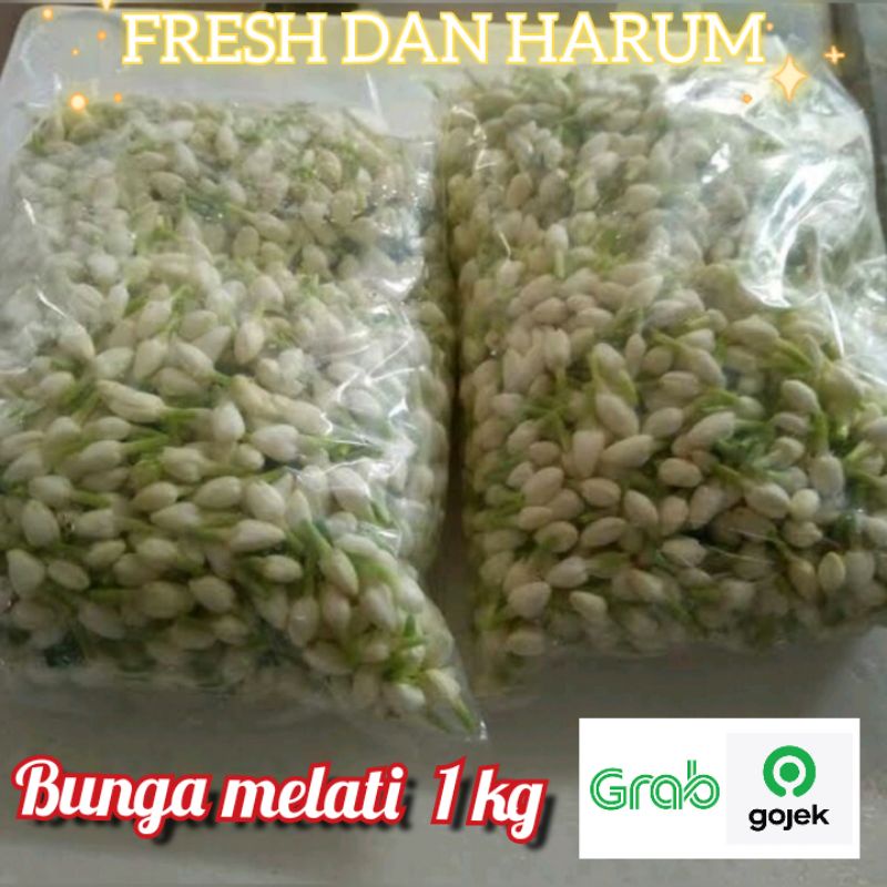 bunga melati tabur ronce 1000 gram flower jasmine original fresh