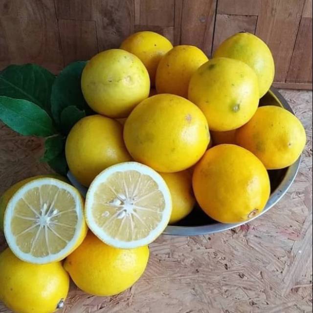 

Jeruk Lemon 250 gr