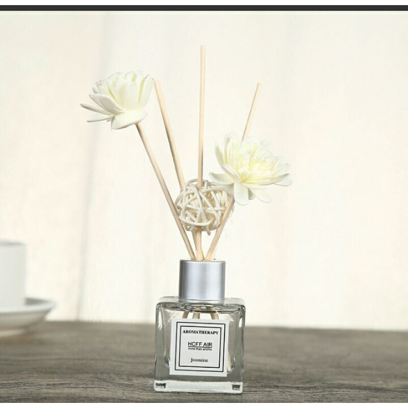 Aromatherapy Reed diffuser-1