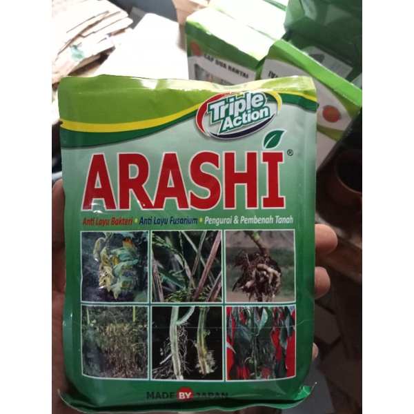 ARASHI OBAT ANTI LAYU, obat layu bakteri