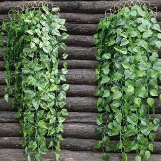 Daun Rambat Plastik Imitasi Sirih Gading Ivy Semangka Daun Rambat Plastik Imitasi Sirih Gading Ivy Semangka
