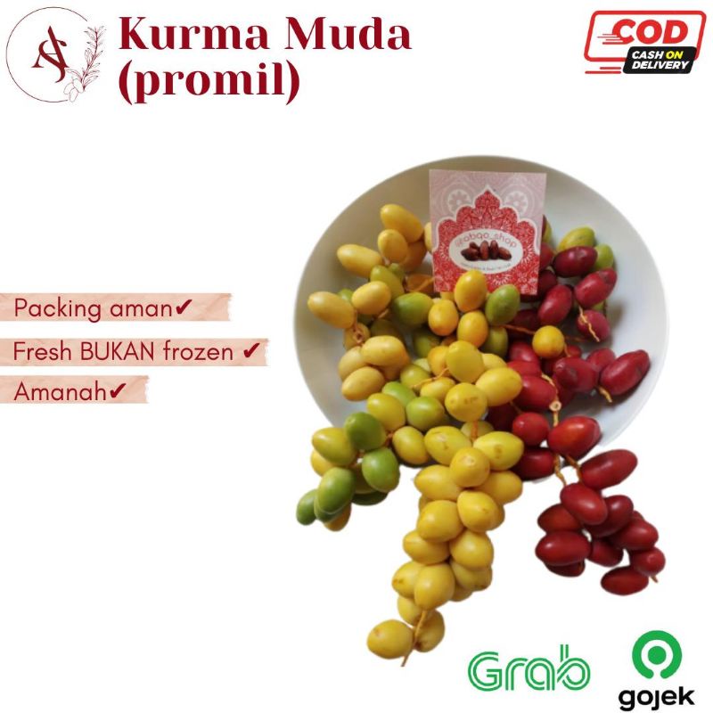 

Kurma Muda Untuk Promil Fresh Kuning Merah Hijau