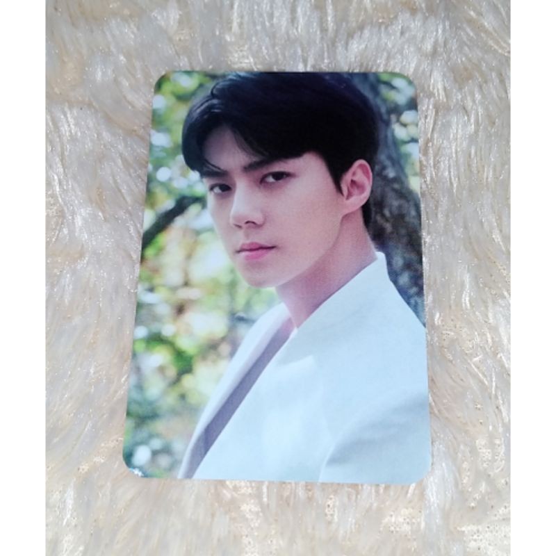 EXO SEHUN PHOTOCARD PC HAND WARMER ELYXION