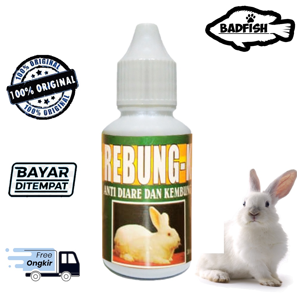 OBAT DIARE KEMBUNG DAN MENCRET PADA KELINCI - REBUNG K