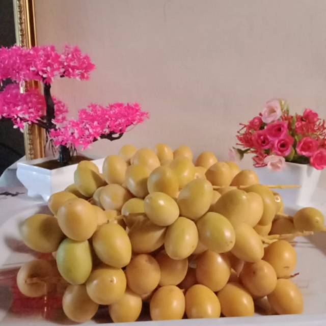 

kurma muda barhee