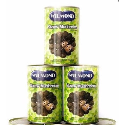 

Wilmond Straw Mushroom 425gr