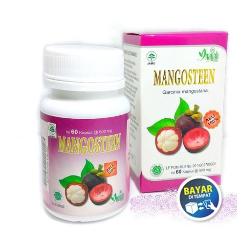 Kapsul Extrak Kulit Manggis Mangosteen Inayah