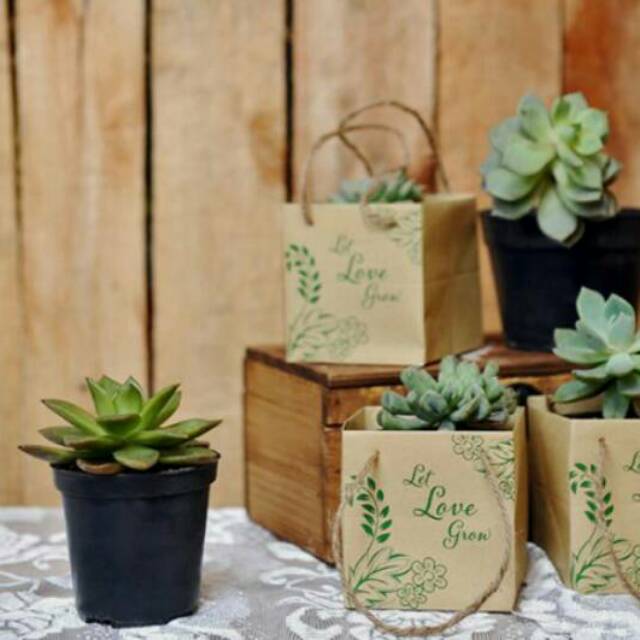 

Paper bag pot