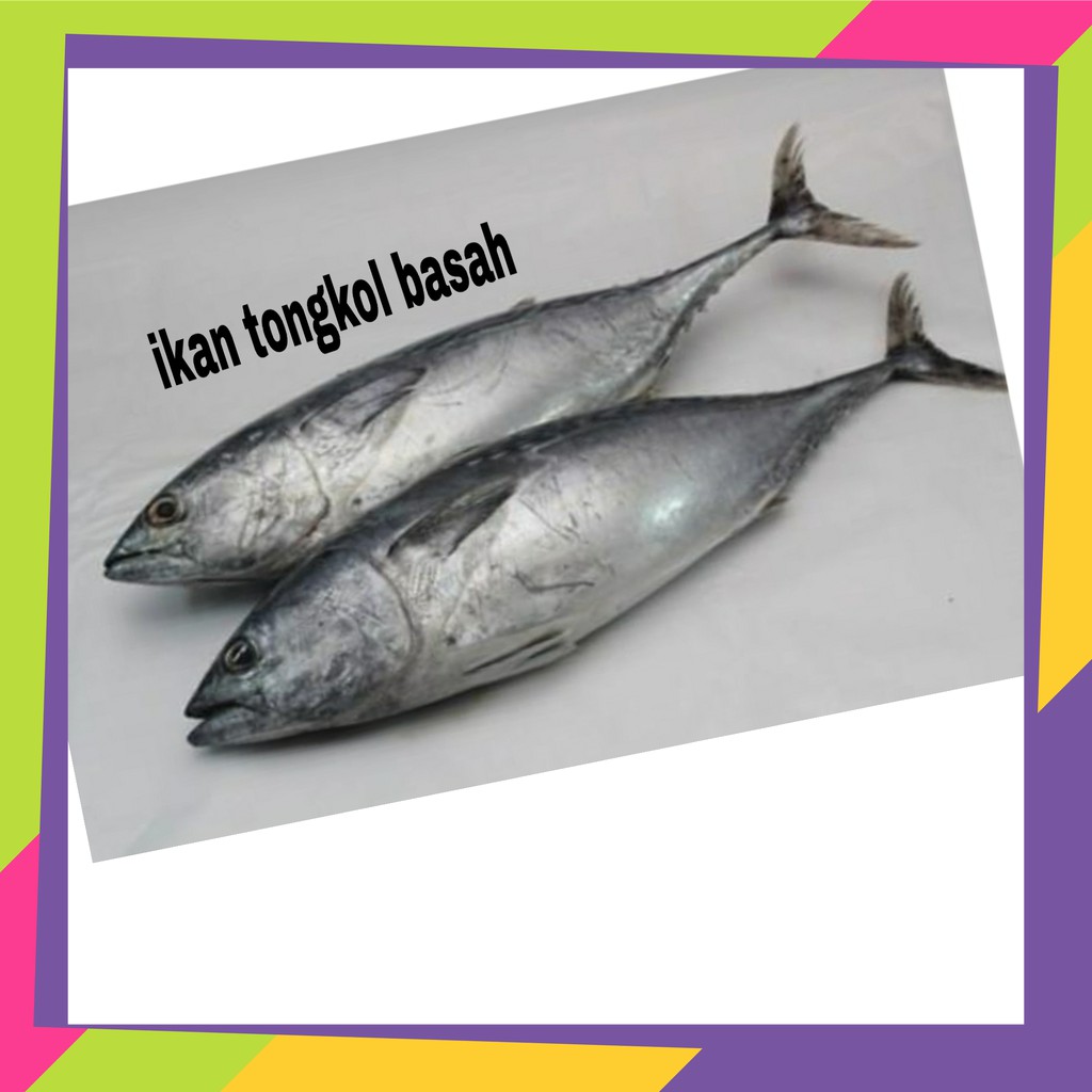 

Ikan tongkol basah || sayur online murah surabaya