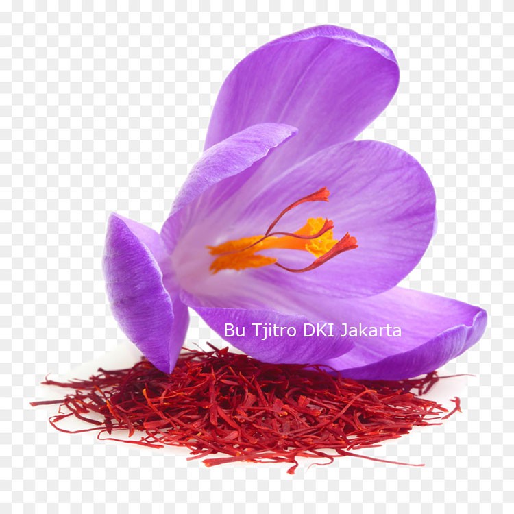 Saffron Bunga Safron 0,5 Gram Super Negin Murni Finest Quality Natural 100% Original