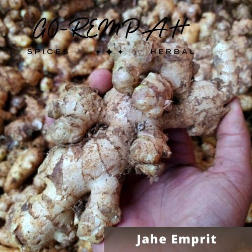 

Jahe Emprit Lokal Segar, Kualitas Premium 500gr