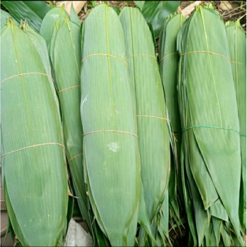 

Daun bambu Segar 150 lembar. DAUN BAMBU BUNGKUS BACANG