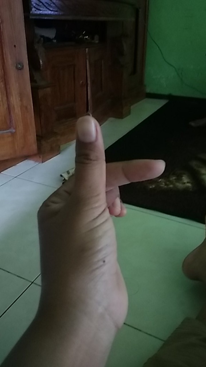 Tangki Semprotan Padi Sprayer Disinfektan Elektrik 16 Liter