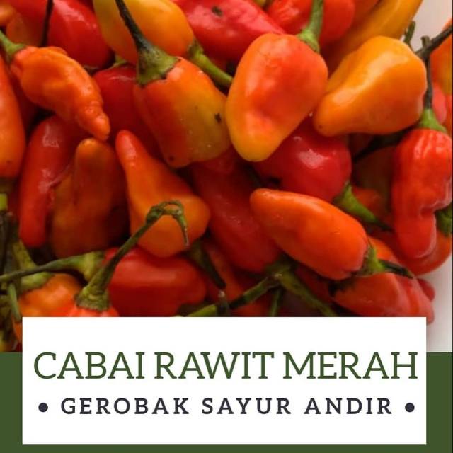 

Cabe Rawit Merah /250gr