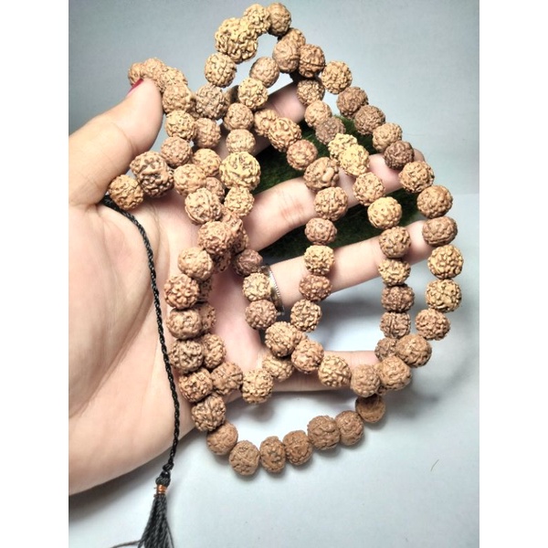 tasbih 99 biji Jenitri asli
