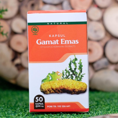 Obat Syaraf Kejepit Saraf Terjepit Saraf Kejepit Syaraf Terjepit Herbal Gamat Emas Kapsul Asli BPOM