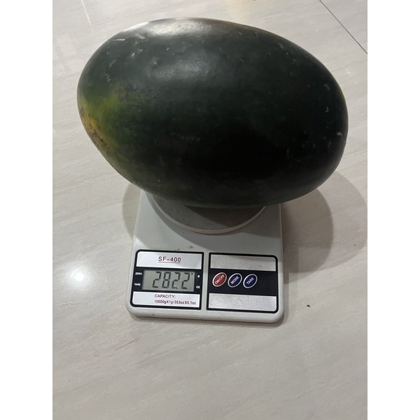 

semangka Inul merah per buah kisaran 2,5 - 3 kg