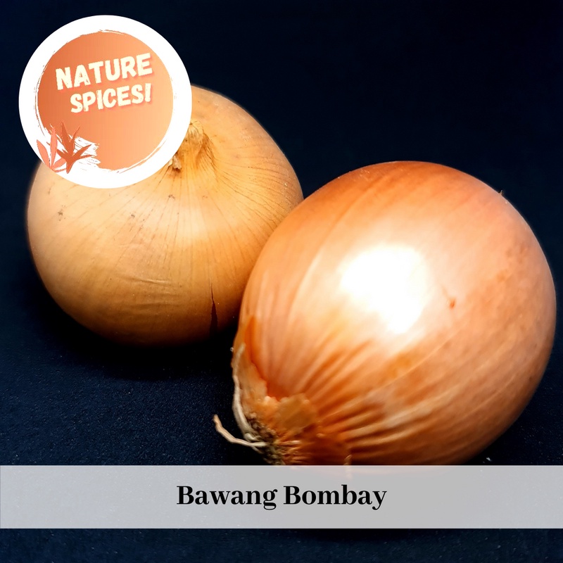 bawang bombay 1kg