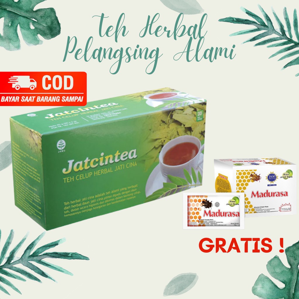 

Teh Daun Jati Cina Original 100% Alami Herbal Pelangsing Bpom Obat Diet Ampuh Bayar Ditempat COD.