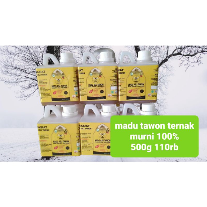 

madu murni tawon ternak 100% alami
