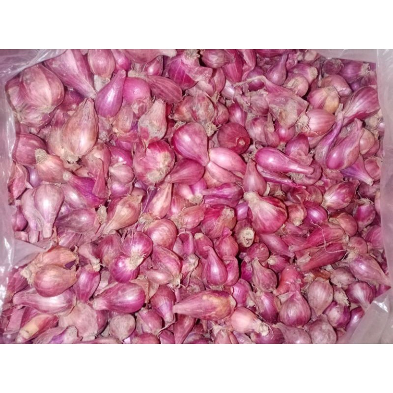 

Bawang Merah Asli Brebes 1kg atau 1000 gram Kualitas Sedang sampai besar | oleh-oleh Brebes