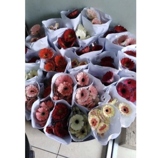 BOUQUET GARBERA LARGE SIZE - FRESH/ASLI