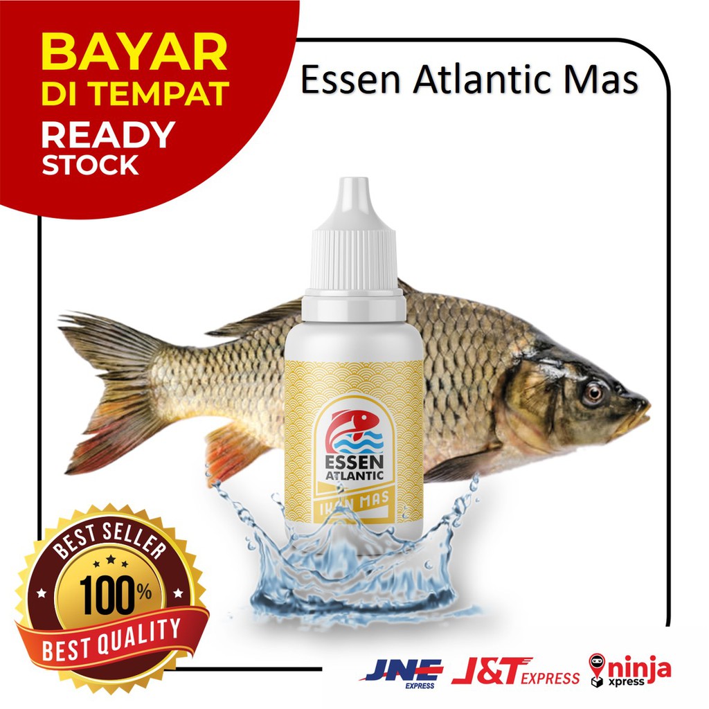 Essen Atlantic Ikan Mas Umpan Pancing Galatama Kilogebrus 30ml (Beli 2 Gratis 1)