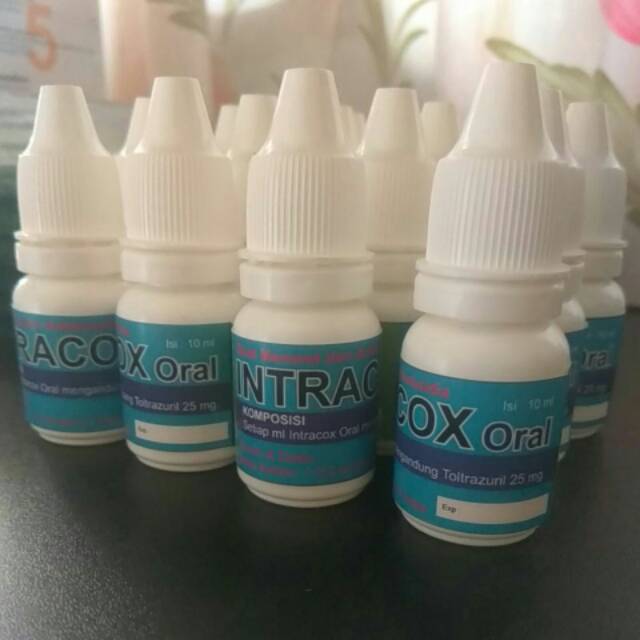 INTRACOX ORAL obat koksidiosis, mencret, diare
