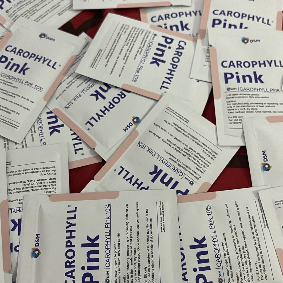 CAROPHYLL PINK DSM ORIGINAL 5 GRAM