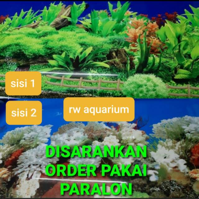 Gambar Aquarium Background Wallpaper Tinggi 60Cm Panjang 50Cm
