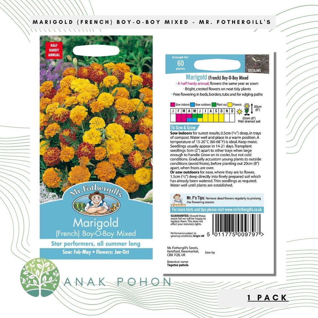 (1 PACK) Benih Marigold (French) Boy-O-Boy Mixed Seeds - Mr. Fothergill's - 60 Biji