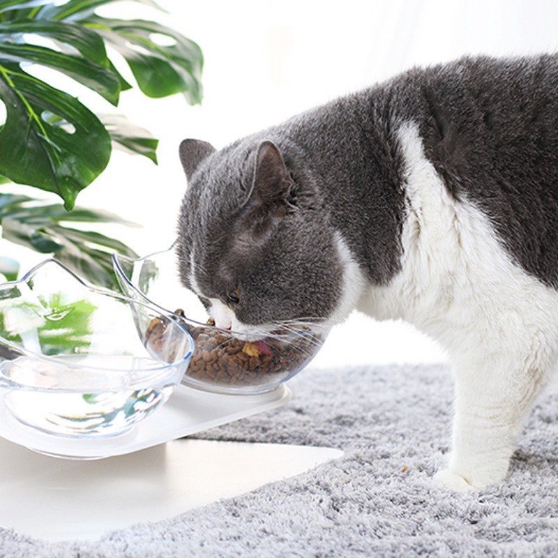 Mangkok Makan / Minum Untuk Anjing / Kucing