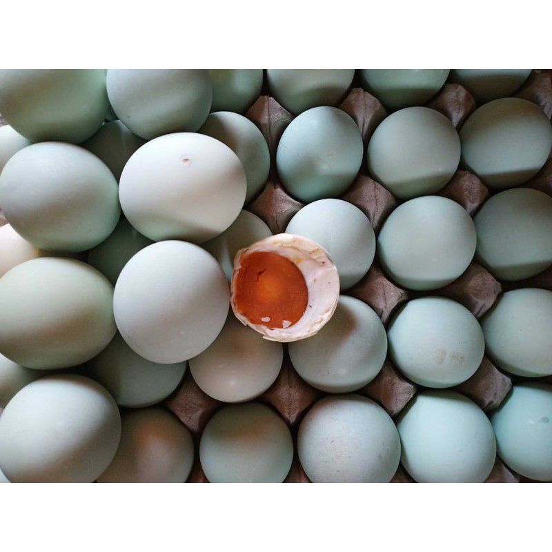 

Telor Asin