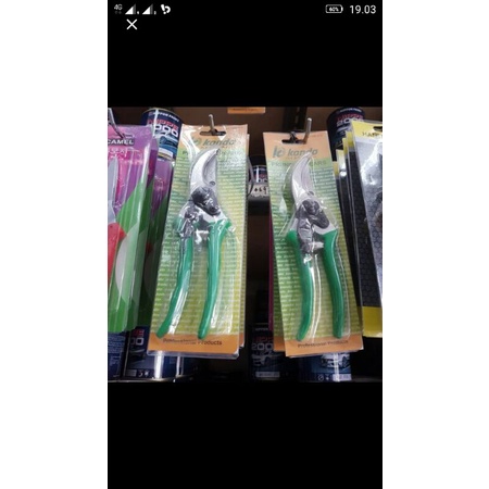 GUNTING PRUNING BONSAI