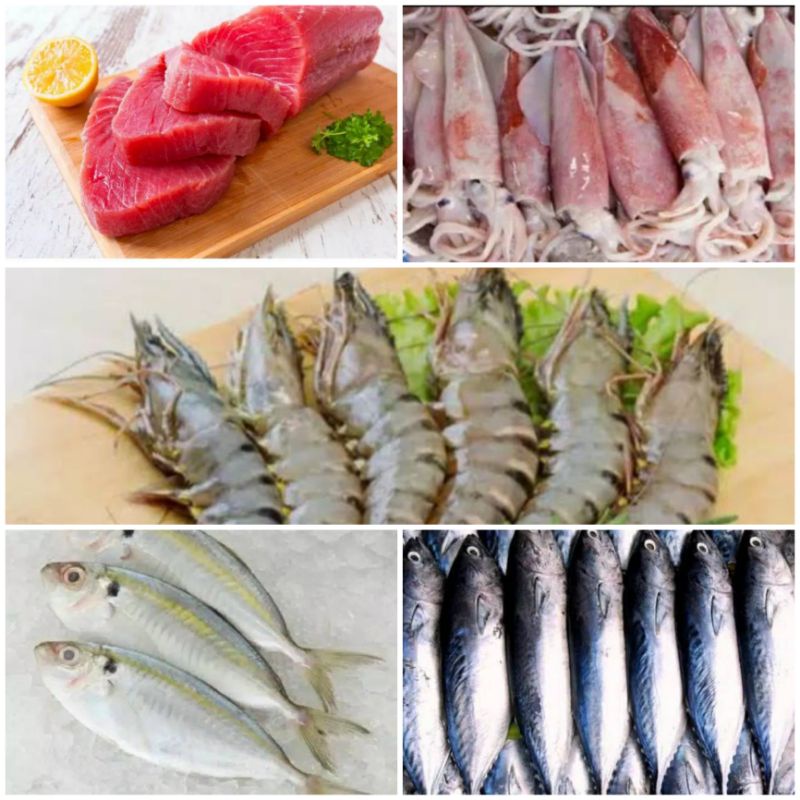 

udang pancet/vaname/tuna/kembung/selar/ikan tongkol/cumi/tenggiri/bawal laut