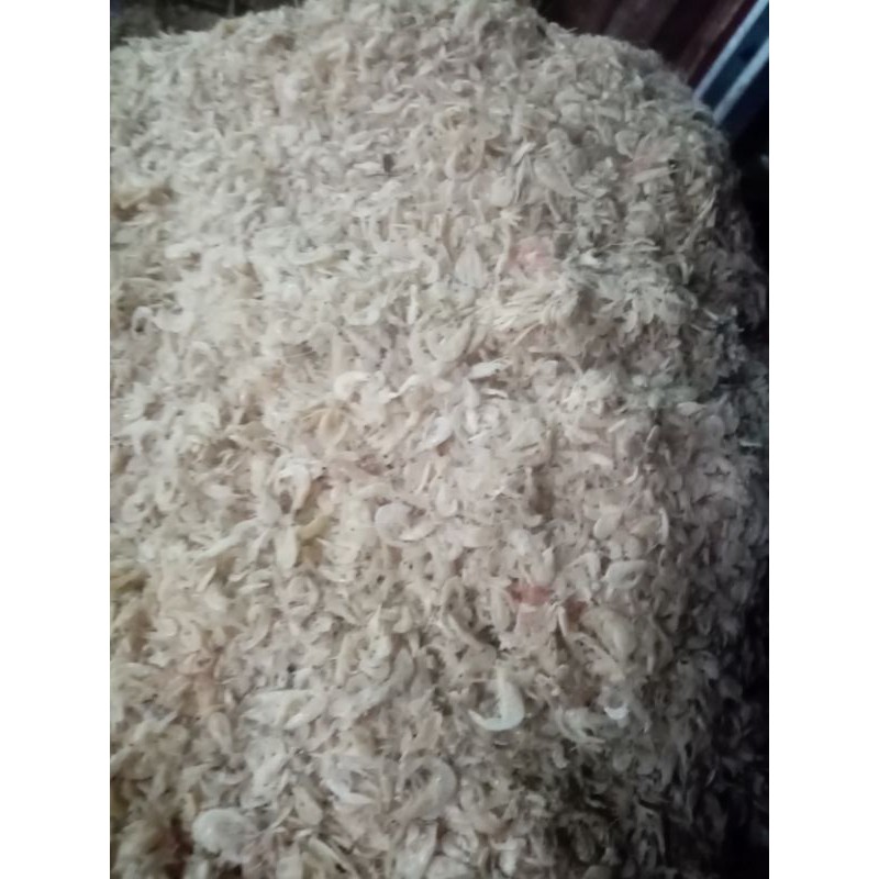 

REBON ASIN/NIURAME