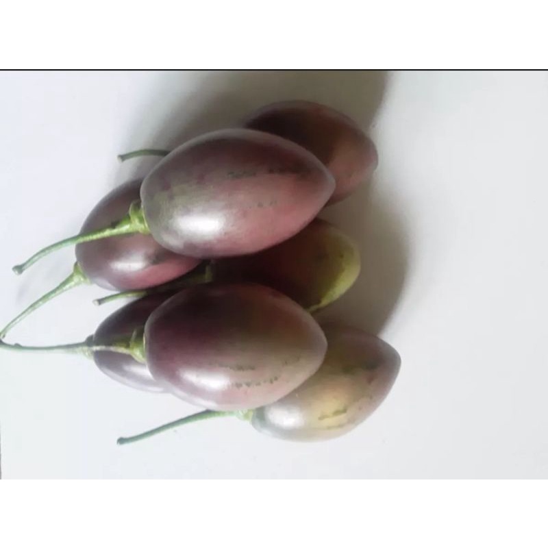 

Terong belanda fresh 1 kg TERMURAH