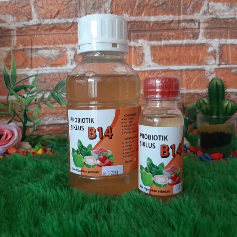 Probiotik Siklus B14 100ml