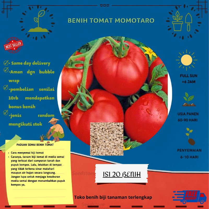 20 Biji Benih Tomat MOMOTARO Import