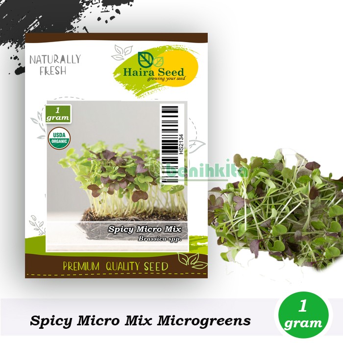 Benih-Bibit Microgreen Spicy Micro Mix Organik (Haira Seed)