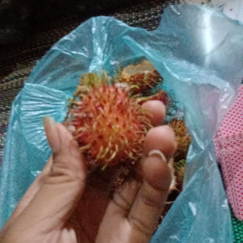 

Rambutan manis sekali