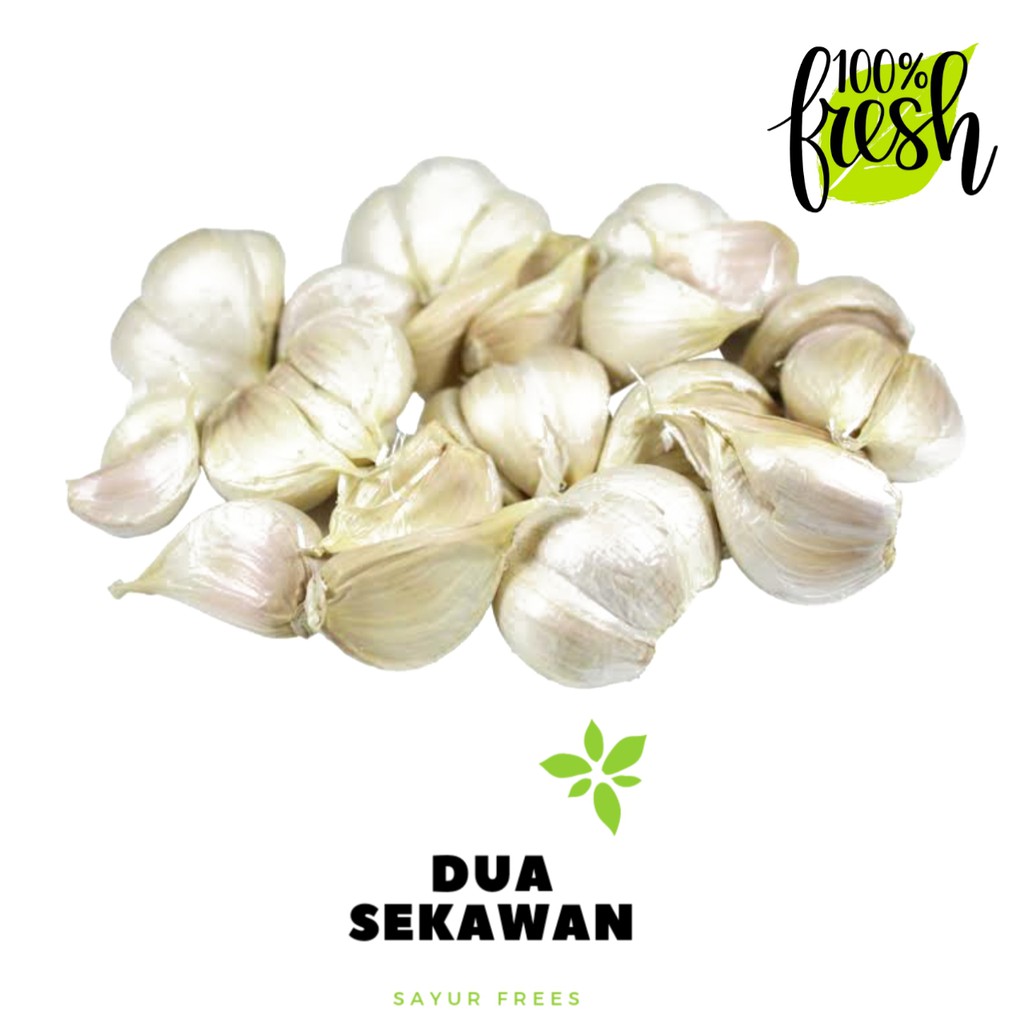 

Dua Sekawan | bawang putih kating