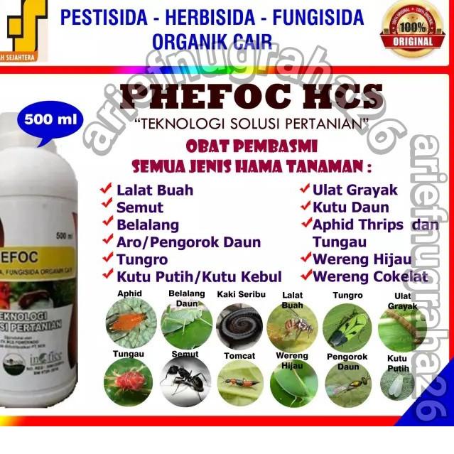 Best Pembasmi Hama Tanaman PHEFOC HCS