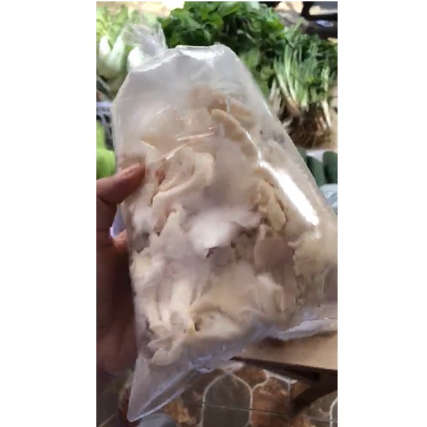 

Jamur Tiram per plastik