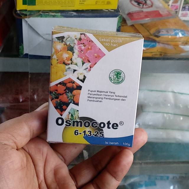 Pupuk penyubur tanaman buah 6-13-25 (osmocote)