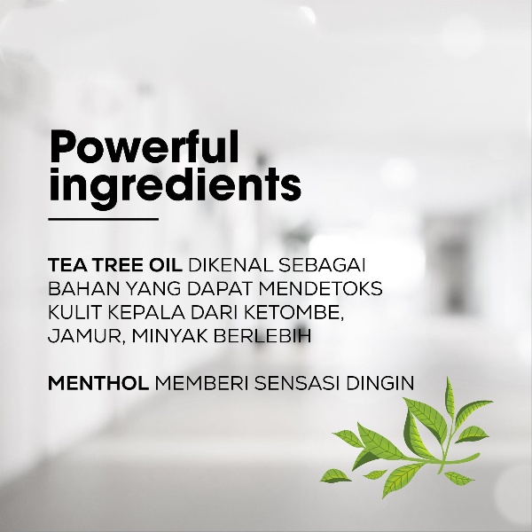 LOREAL Hair Spa Detox DX Conditioner - Kondisioner Perawatan Pembersih Kulit Kepala Rambut Berminyak Gatal Ketombe 200 ml
